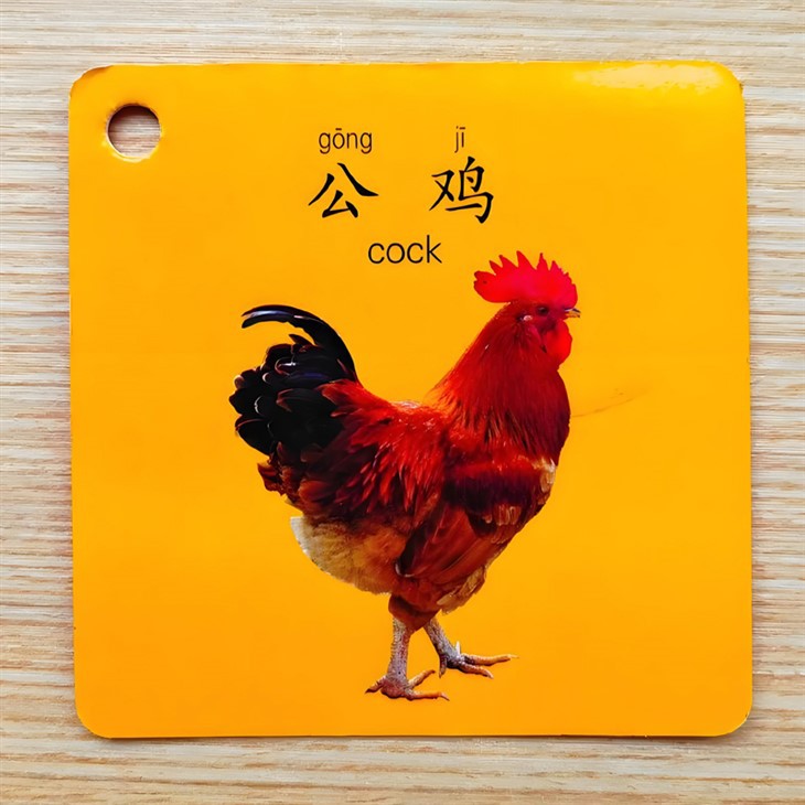 Dvojjazyčné karty raného vzdělávání