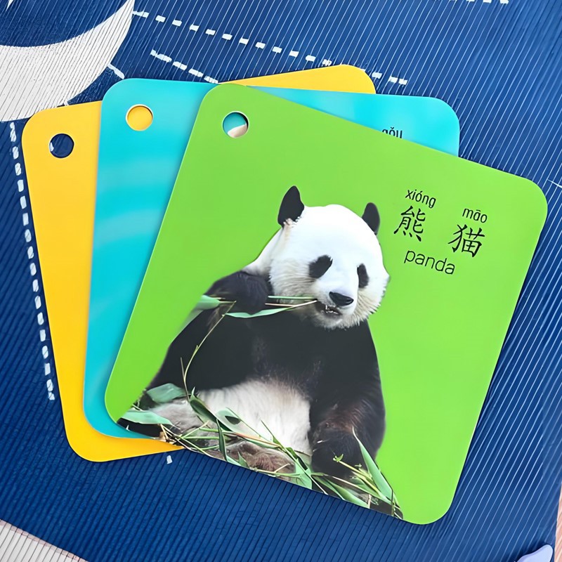 Bilingual early education cards Bilingual early education cards